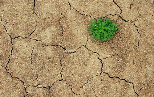 1671604823935526.png image.png